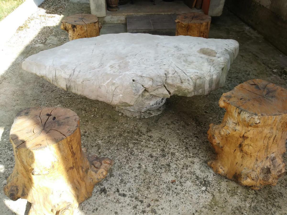Villa Daja Biograd Na Moru Zewnętrze zdjęcie